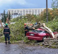 Car crushed by a tree brought down in a storm