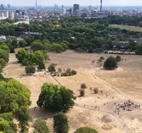 City park with grass scorched by drought