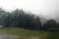 Rain running down a window, trees beyond
