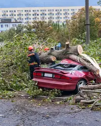 Car crushed by a tree brought down in a storm