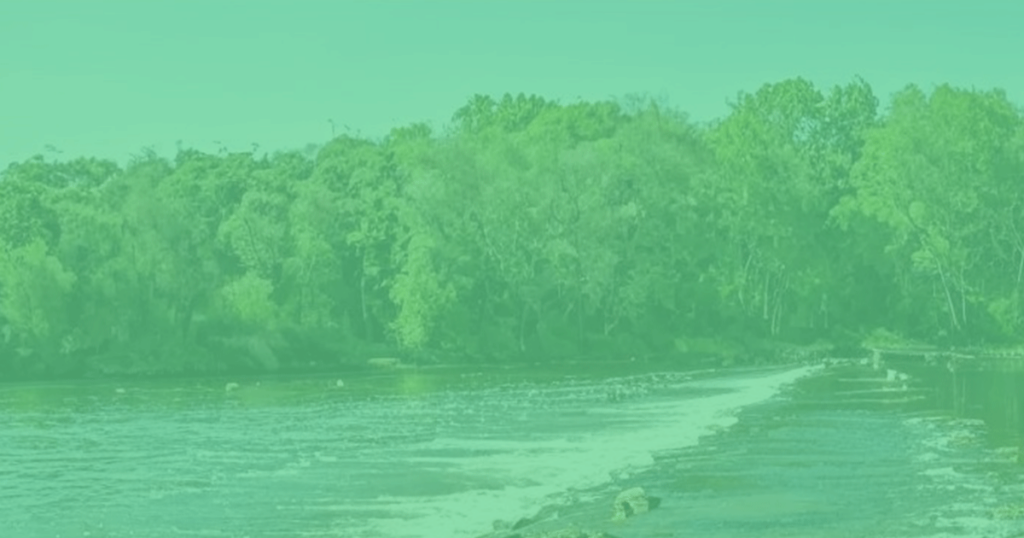 Case Study: Advancing Simulated Flood Management in the Danube River with MERATCH