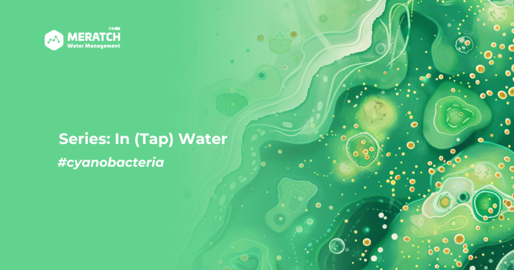 In (Tap) Water: What You Need to Know About Cyanobacteria